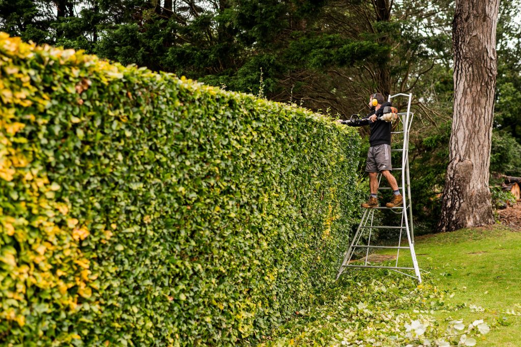 StroudGroundsMaintenance_Sept2024_168