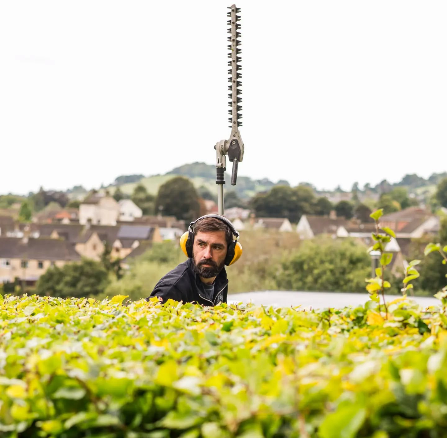 professional hedge trimming in Stoud